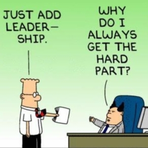 leadership cartoon
